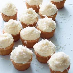 Coconut Cupcake